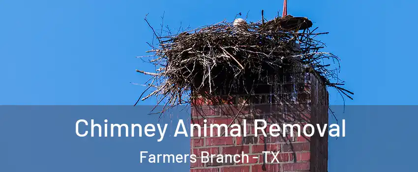 Chimney Animal Removal Farmers Branch - TX