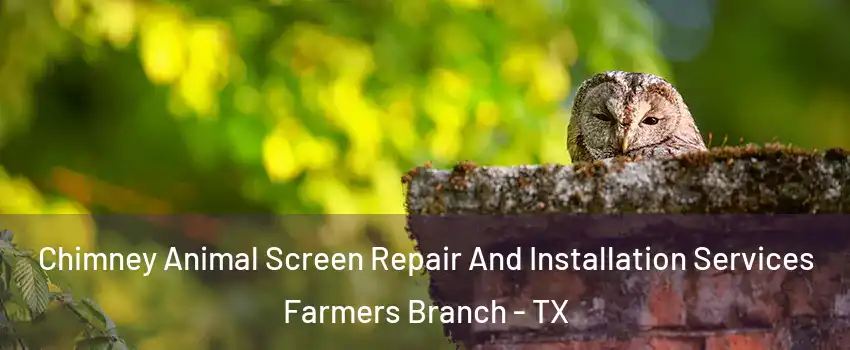  Chimney Animal Screen Repair And Installation Services Farmers Branch - TX