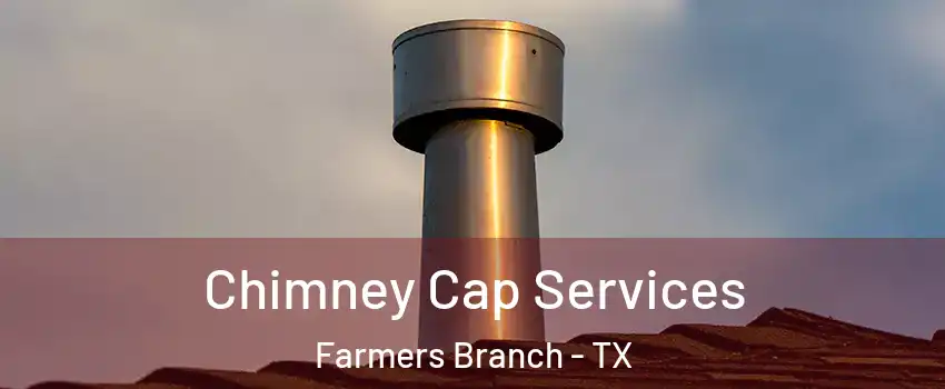  Chimney Cap Services Farmers Branch - TX