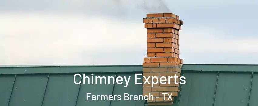 Chimney Experts Farmers Branch - TX
