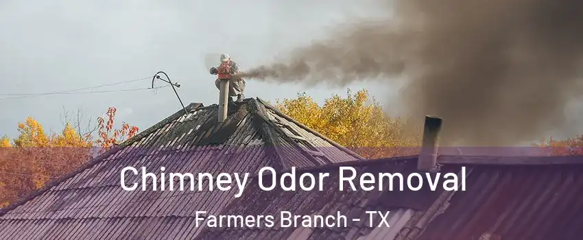  Chimney Odor Removal Farmers Branch - TX