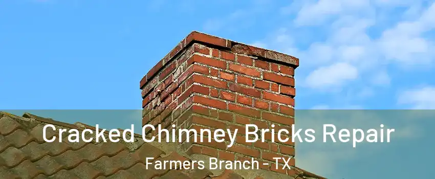  Cracked Chimney Bricks Repair Farmers Branch - TX