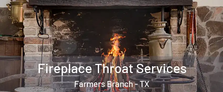  Fireplace Throat Services Farmers Branch - TX