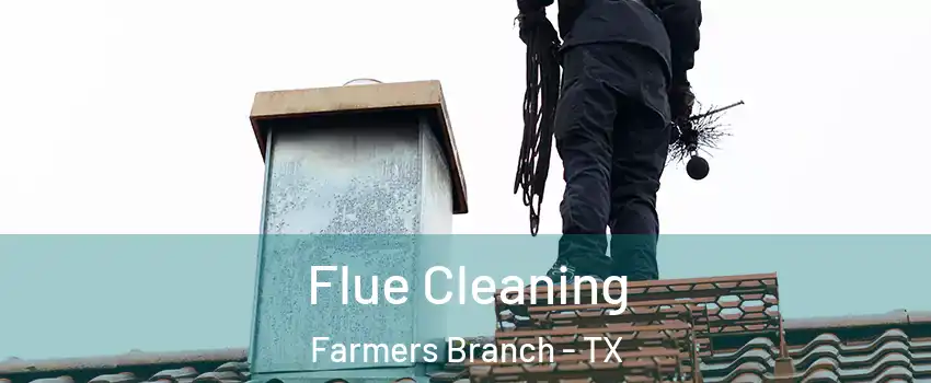  Flue Cleaning Farmers Branch - TX