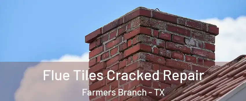  Flue Tiles Cracked Repair Farmers Branch - TX