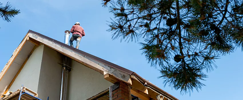 Birds Removal Contractors from Chimney in Farmers Branch, TX