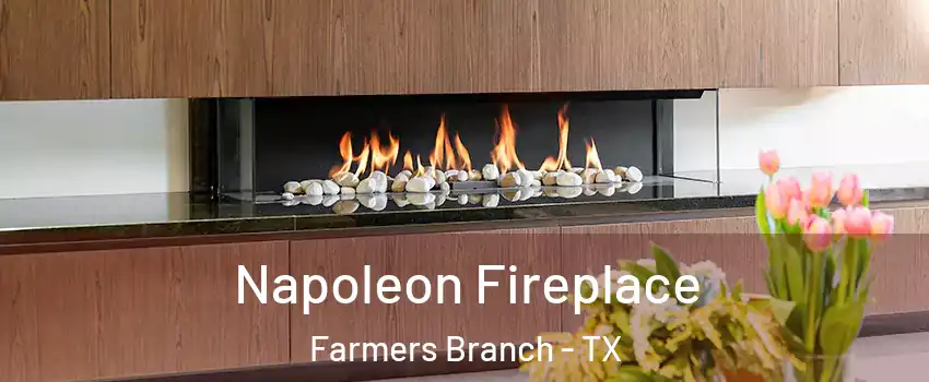  Napoleon Fireplace Farmers Branch - TX
