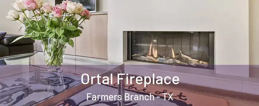 Ortal Fireplace Farmers Branch - TX